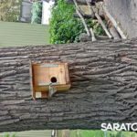 Трагедия в горпарке: на месте гибели девочки саратовцы начали устраивать мемориал Трагедия в горпарке: на месте гибели девочки саратовцы начали устраивать мемориал