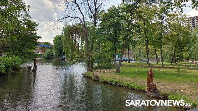 Трагедия в горпарке: на месте гибели девочки саратовцы начали устраивать мемориал Трагедия в горпарке: на месте гибели девочки саратовцы начали устраивать мемориал