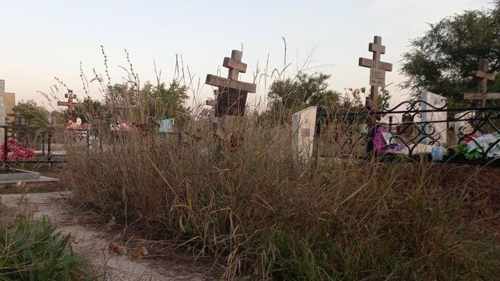 Саратовские кладбища остались без руководителей Саратовские кладбища остались без руководителей