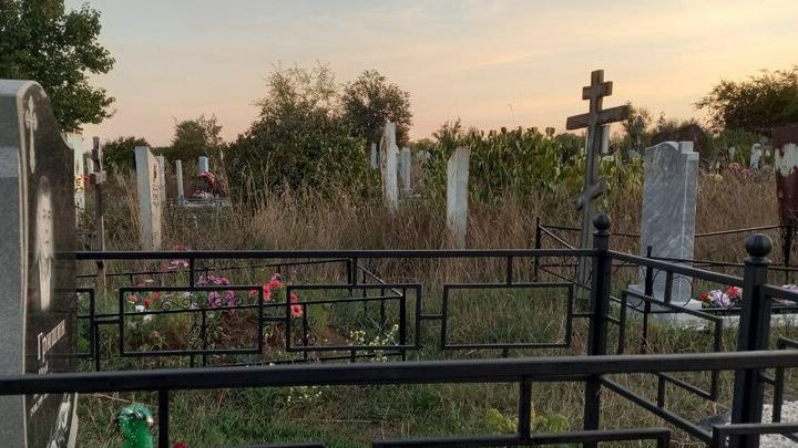 Саратовский «Ритуал» возглавил Александр Балашов Саратовский «Ритуал» возглавил Александр Балашов