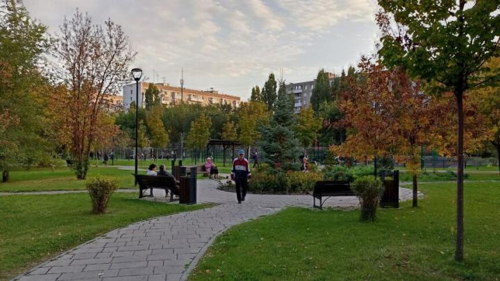 В Саратове идет ремонт в сквере Расковой, а парк напротив администрации Заводского района заброшен В Саратове идет ремонт в сквере Расковой, а парк напротив администрации Заводского района заброшен