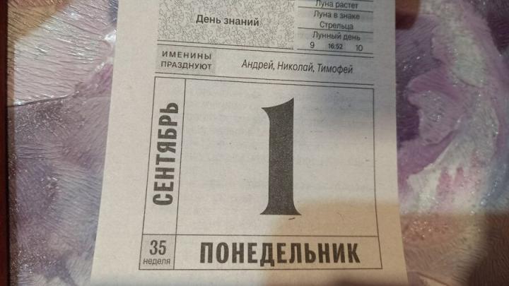 Саратовцам пояснили четыре способа сделать 1 сентября выходным Саратовцам пояснили четыре способа сделать 1 сентября выходным