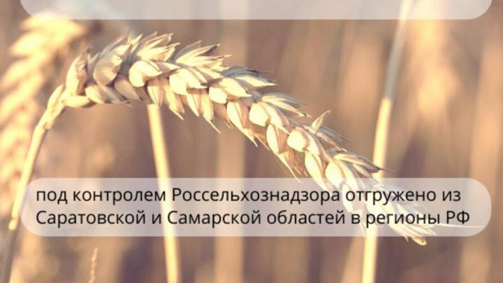 Из Саратовской области было отгружено 643,3 тысячи тонн зерна Из Саратовской области было отгружено 643,3 тысячи тонн зерна