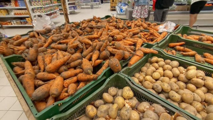 Огурцы дорожают в Саратовской области, морковь и секла дешевеют Огурцы дорожают в Саратовской области, морковь и секла дешевеют