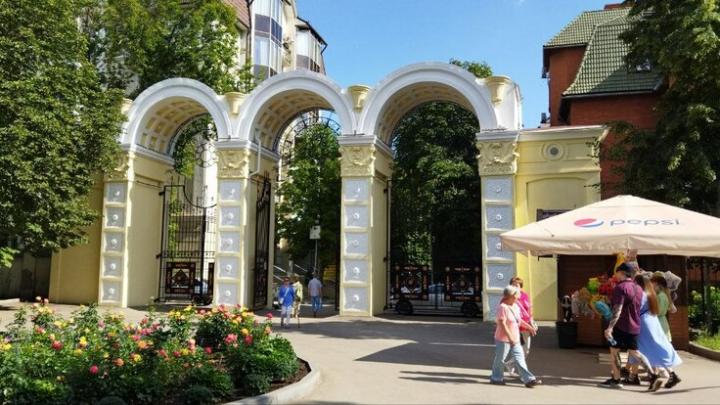 Торговые точки в городском парке Саратова освободят для новых конкурсов Торговые точки в городском парке Саратова освободят для новых конкурсов