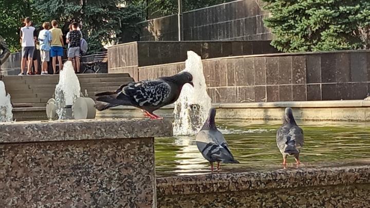 В выходные в Саратовской области будет жарко В выходные в Саратовской области будет жарко