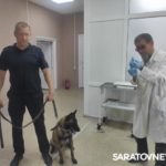 ОБЕРЕГАЯ ЧЕЛОВЕЧЕСТВО