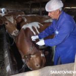 ОБЕРЕГАЯ ЧЕЛОВЕЧЕСТВО