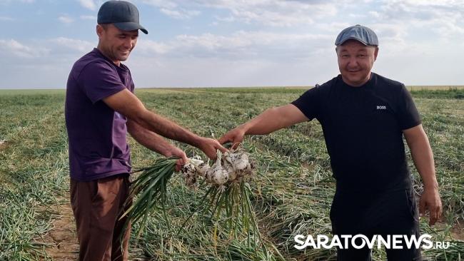 Селекция и производство вместе эффективнее Селекция и производство вместе эффективнее