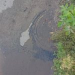 Две недели течет вода из колодцев на 1-м Жилучастке в Саратове
