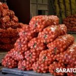 Луковое раздолье в КФХ Иосифа Шегай Луковое раздолье в КФХ Иосифа Шегай
