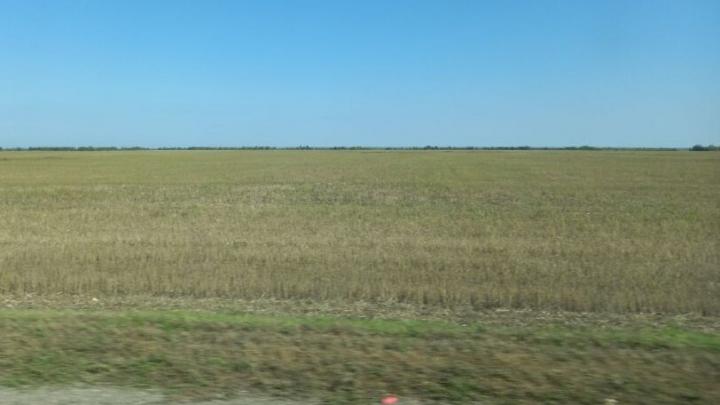 В Саратовской области сохраняется чрезвычайная пожарная опасность В Саратовской области сохраняется чрезвычайная пожарная опасность