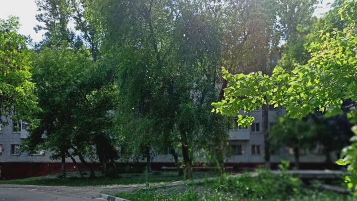 Бабье лето в Саратовской области: синоптики рассказали, куда уйдёт дождь в выходные Бабье лето в Саратовской области: синоптики рассказали, куда уйдёт дождь в выходные