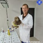 Ветеринары вылечили и выпустили на волю раненого степного орла в Алгае