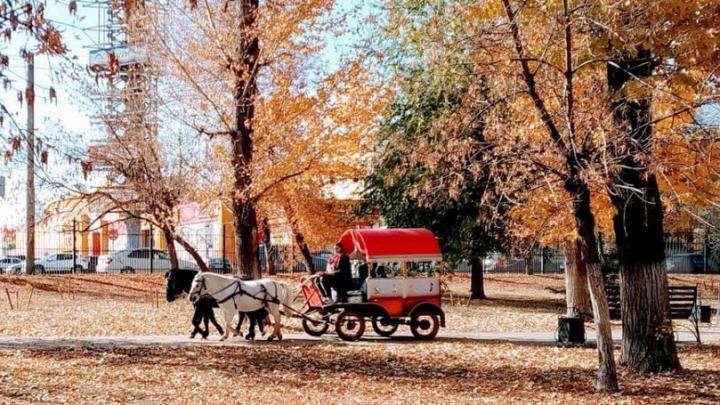 В Саратове до +20, но ночью заморозки В Саратове до +20, но ночью заморозки