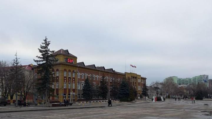 В Энгельсе на закупку новых деревьев и кустарников потратят более 2 млн рублей В Энгельсе на закупку новых деревьев и кустарников потратят более 2 млн рублей