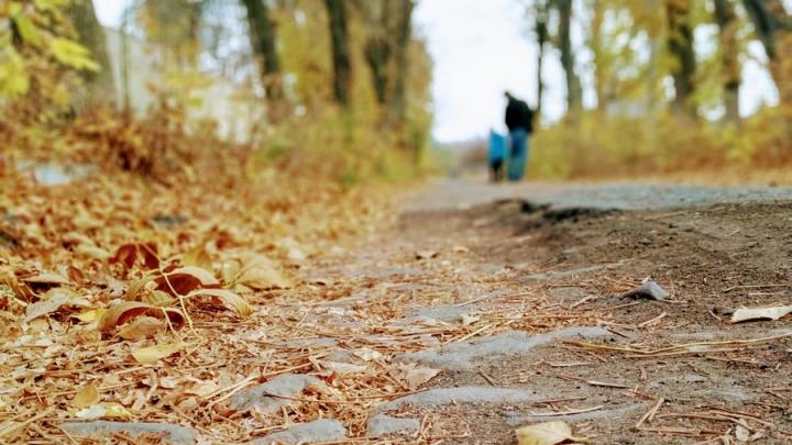 Пасмурные выходные с дождями ожидаются в Саратове Пасмурные выходные с дождями ожидаются в Саратове