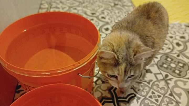 Массовое отключение воды настигнет Заводской район: названы улицы и даты Массовое отключение воды настигнет Заводской район: названы улицы и даты
