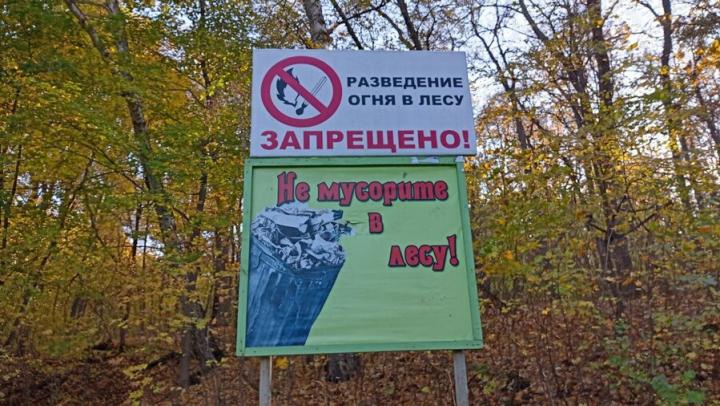 В Саратовской области сняли запрет на посещение лесов В Саратовской области сняли запрет на посещение лесов