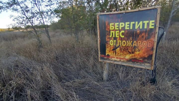 В Саратовской области ограничили посещение лесов В Саратовской области ограничили посещение лесов