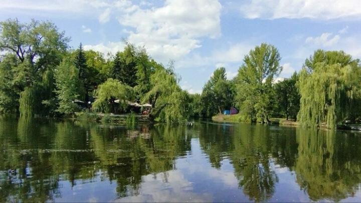 Саратовский горпарк: привычную инфраструктуру обещают вернуть к середине ноября Саратовский горпарк: привычную инфраструктуру обещают вернуть к середине ноября