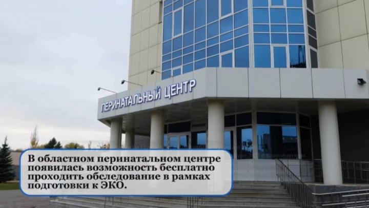 Нацпроекты: В перинатальном центре Саратова проводится бесплатная подготовка к ЭКО Нацпроекты: В перинатальном центре Саратова проводится бесплатная подготовка к ЭКО