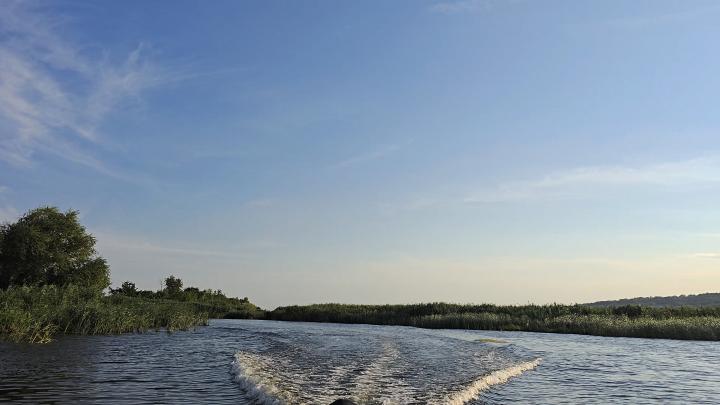 В Вольском районе мужчина выстрелил в рыбака из незарегистрированного ружья В Вольском районе мужчина выстрелил в рыбака из незарегистрированного ружья