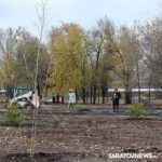 В Саратове благоустраивают территорию вокруг нового онкоцентра