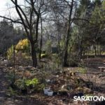 Саратовским журналистам и градозащитникам показали уникальные растения в Ботаническом саду