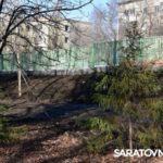 Саратовским журналистам и градозащитникам показали уникальные растения в Ботаническом саду