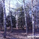 Саратовским журналистам и градозащитникам показали уникальные растения в Ботаническом саду