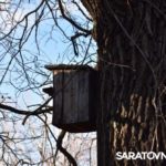 Саратовским журналистам и градозащитникам показали уникальные растения в Ботаническом саду