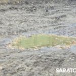 В Саратове открылся обновлённый Ботанический сад СГУ: фото