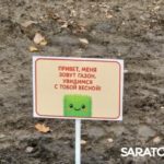 В Саратове открылся обновлённый Ботанический сад СГУ: фото