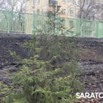 В Саратове открылся обновлённый Ботанический сад СГУ: фото