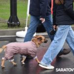 В Саратове открыли отремонтированный участок набережной с праздником для жителей