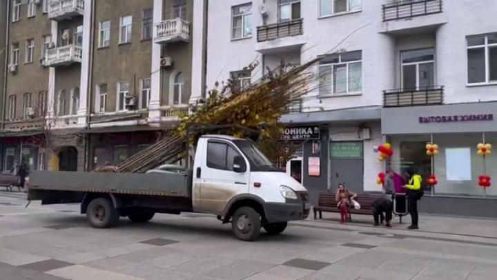 В Саратове высадили более сотни деревьев-крупномеров В Саратове высадили более сотни деревьев-крупномеров