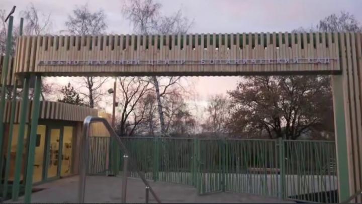 Ботанический сад СГУ в Саратове открывается после ремонта Ботанический сад СГУ в Саратове открывается после ремонта