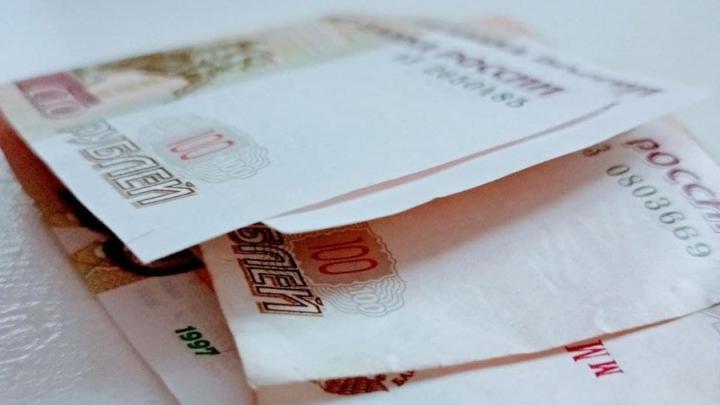 Саратовский школьник из Солнечного потратил мамину зарплату на игрового героя