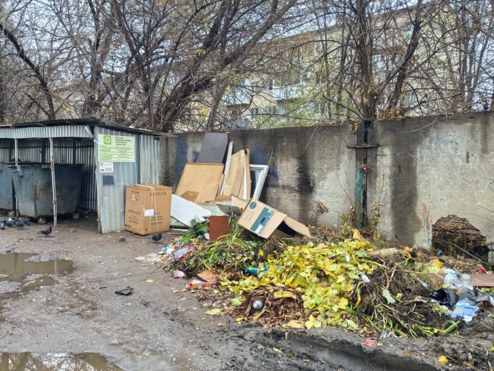 Контейнерные площадки Саратова тонут в мусоре из-за бездействия «Ситиматик» Контейнерные площадки Саратова тонут в мусоре из-за бездействия «Ситиматик»