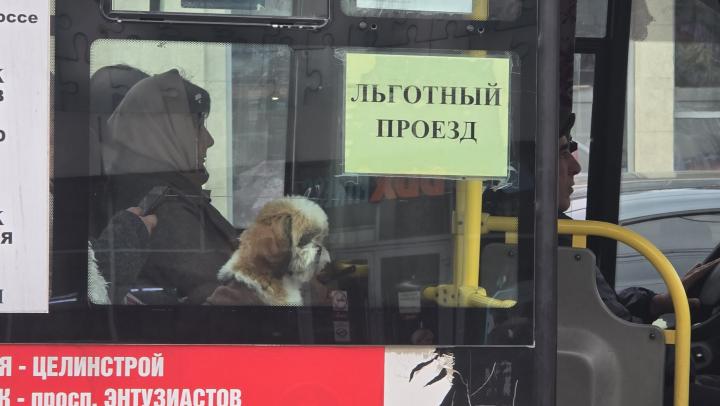 В саратовских автобусах выявили 38 «зайцев» В саратовских автобусах выявили 38 «зайцев»