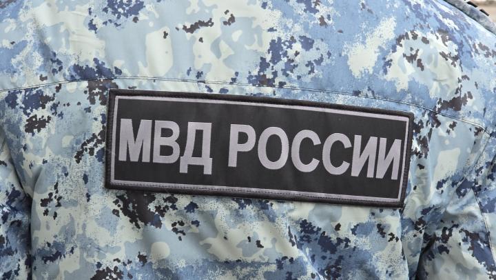 В Энгельсе задержали подпольного коноплевода: изъято свыше шести килограммов растений В Энгельсе задержали подпольного коноплевода: изъято свыше шести килограммов растений