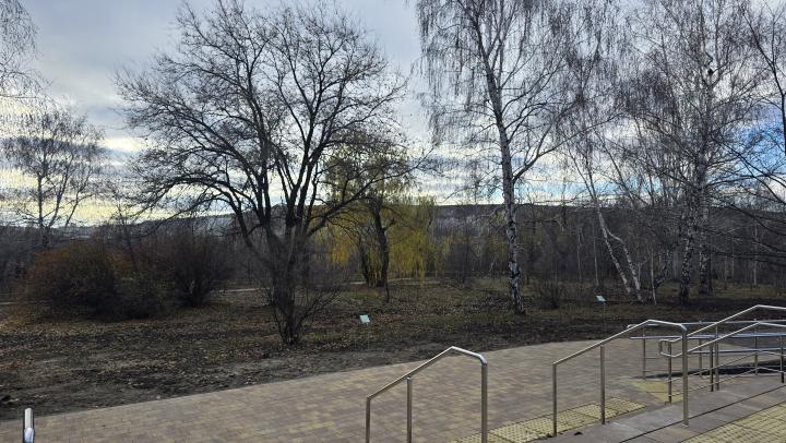 Пасмурное утро и похолодание вечером: прогноз для Саратова на сегодня Пасмурное утро и похолодание вечером: прогноз для Саратова на сегодня