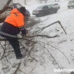 В Саратове ветер свалил 30 деревьев В Саратове ветер свалил 30 деревьев