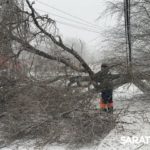 В Саратове ветер свалил 30 деревьев В Саратове ветер свалил 30 деревьев