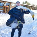 В Татищево спасли лебедя, оставшегося на замёрзшем пруду В Татищево спасли лебедя, оставшегося на замёрзшем пруду