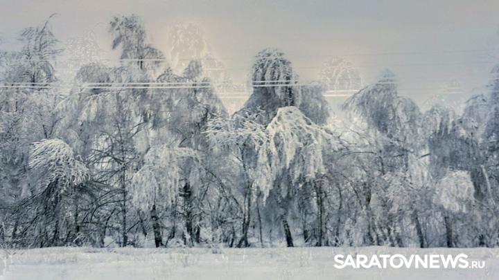 Сказочный лес с обледенелыми деревьями заметили в Саратовской области Сказочный лес с обледенелыми деревьями заметили в Саратовской области