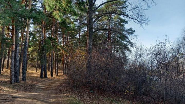 «Лукоморье» и «Яблоневый сад»: саратовские фермеры превращают хозяйства в места для отдыха «Лукоморье» и «Яблоневый сад»: саратовские фермеры превращают хозяйства в места для отдыха