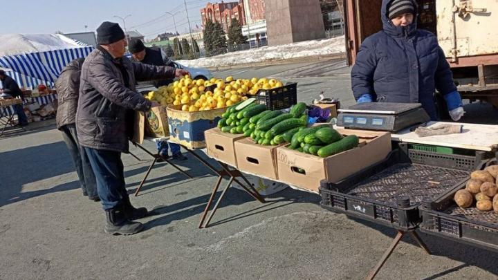 В Саратове отменили ярмарку из-за последствий снегопада В Саратове отменили ярмарку из-за последствий снегопада