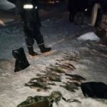 600 метров сетей, 9 машин, 4 уголовных дела: этим закончились рейды рыбоохраны под Саратовом